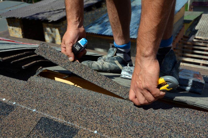 Asphalt Roof Leak Repair in Douglas County, CO
