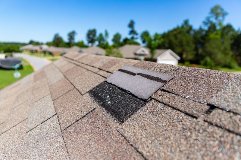 Asphalt Roof Leak Repair in Parker, CO