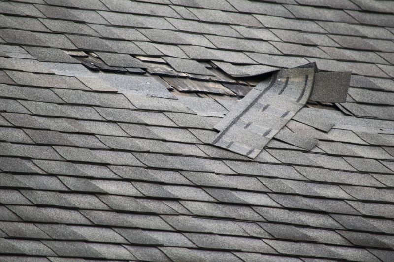 Asphalt Roof Repair in Castle Rock, CO