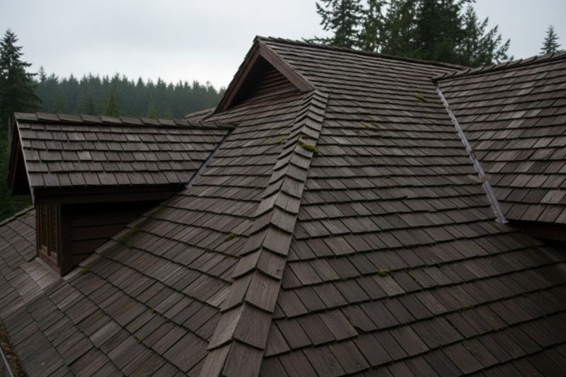 Cedar Roof Replacement in Wheat Ridge, CO