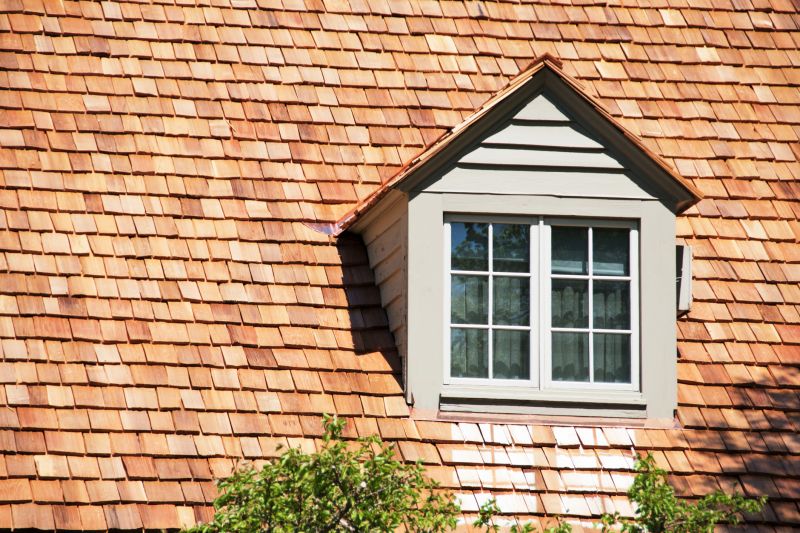 Cedar Shingles Repair in Morrison, CO