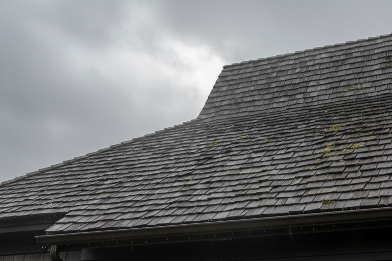 Cedar Shingles Replacement in Westminster, CO