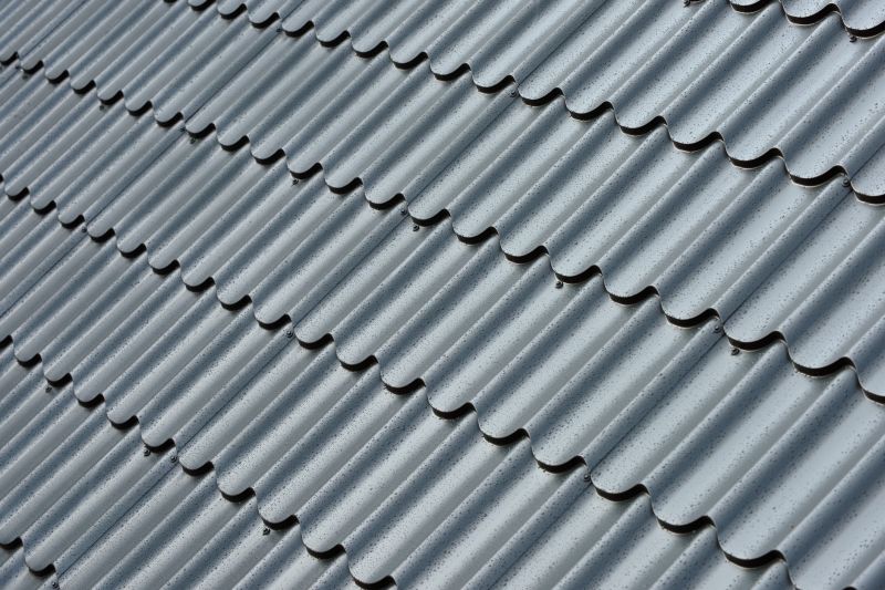 Corrugated Roof Repair in Denver County, CO