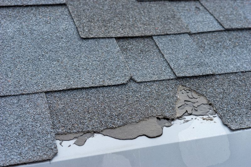 Damaged Roof Repair in Erie, CO