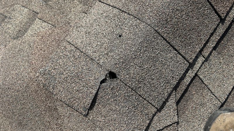 Damaged Roof Repair in Lafayette, CO