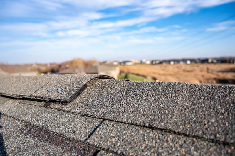 Damaged Roof Repair in Louisville, CO