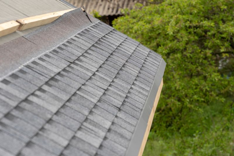 Damaged Roof Repair in Morrison, CO