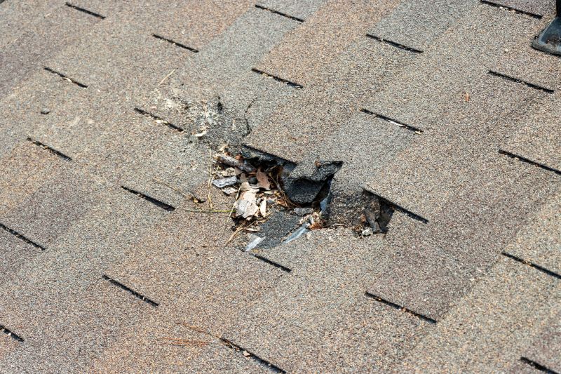 Damaged Roof Replacement in Conifer, CO