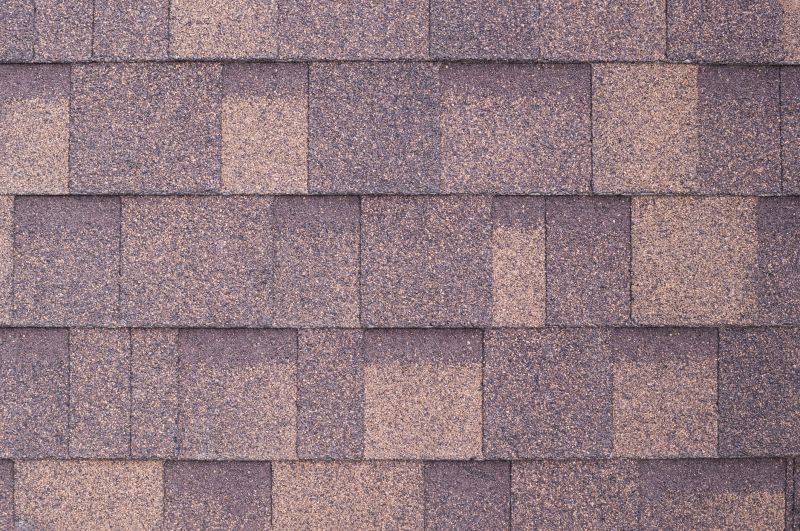 Fiberglass Shingles Repair in Denver, CO