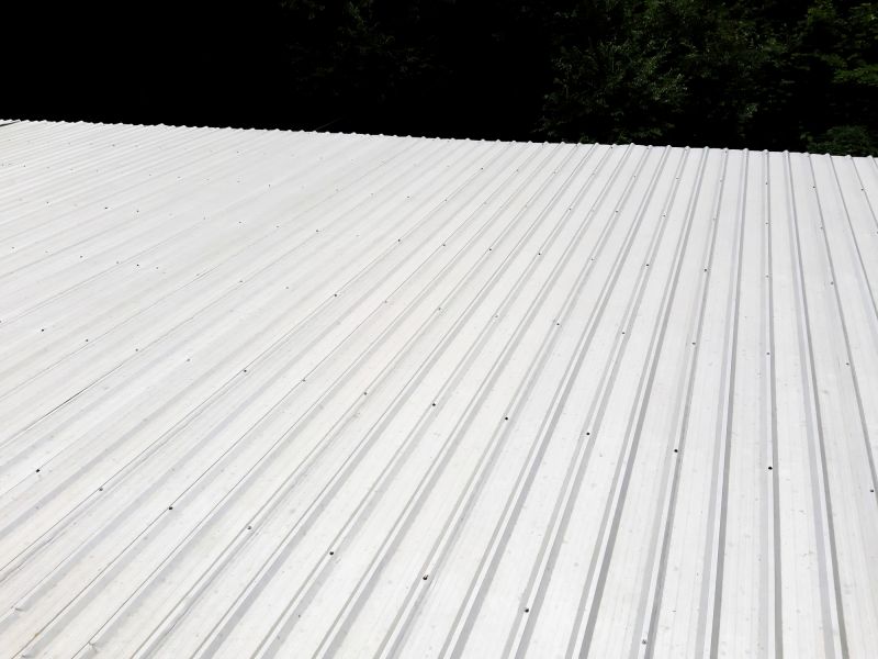 Galvanized Roof Repair in Denver, CO