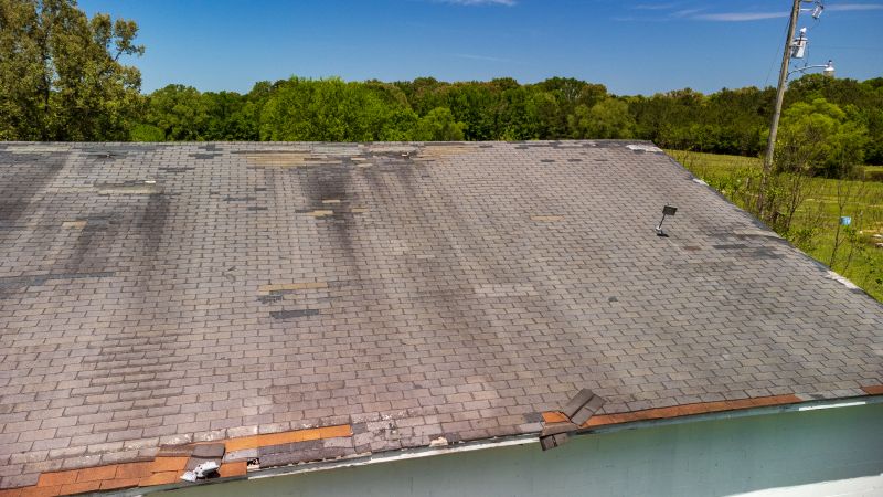 Hail Damage Roof Repair in Denver, CO