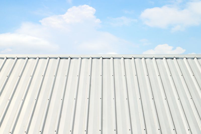 Metal Roof Coating Service in Denver, CO