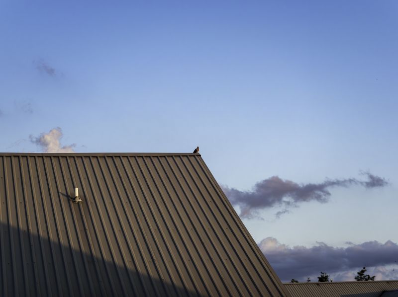Metal Roof Replacement in Arvada, CO