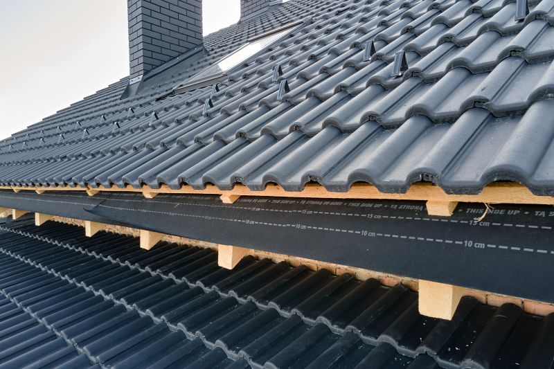 Roof Construction in Denver County, CO