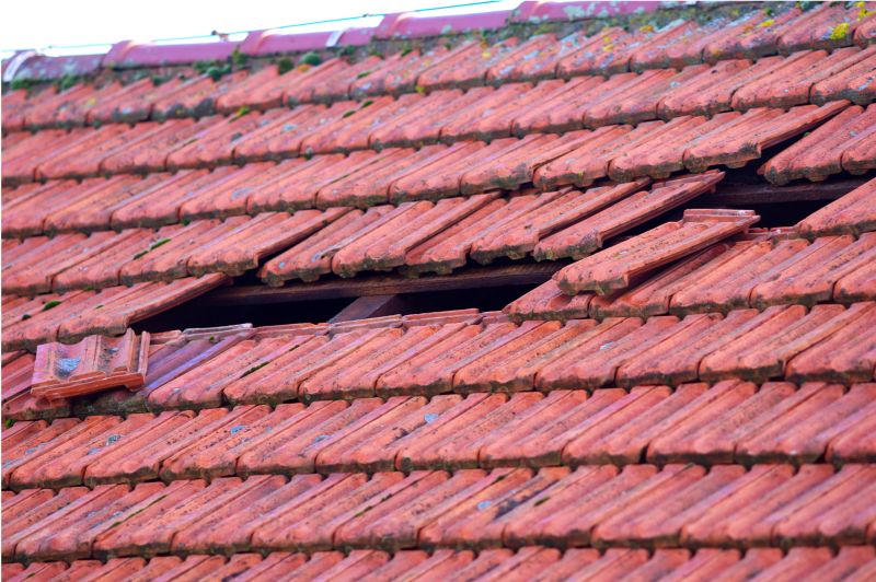Roof Damage Inspection in Parker, CO