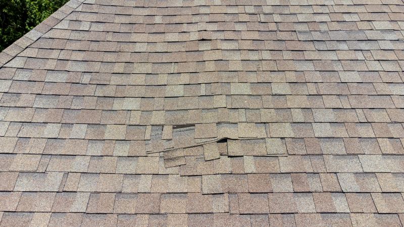 Roof Damage Inspection in Parker, CO