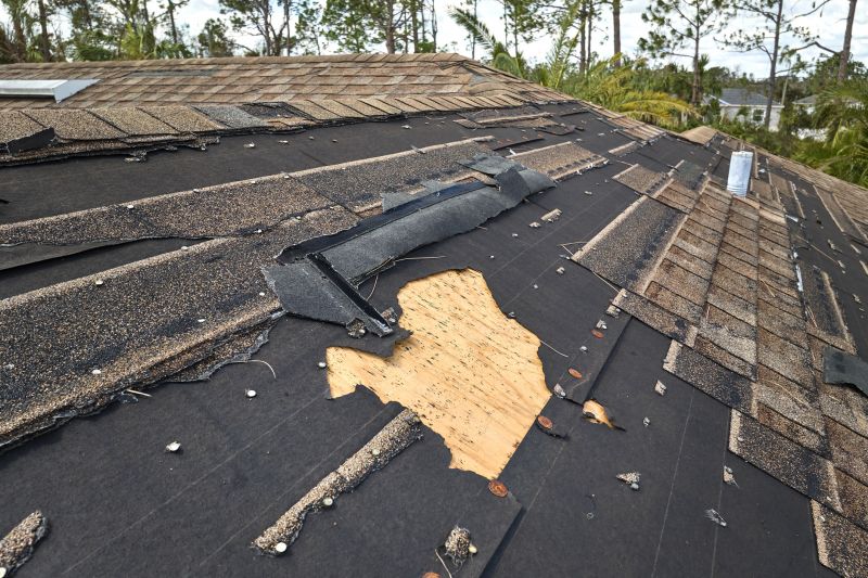 Roof Damage Repair in Boulder, CO