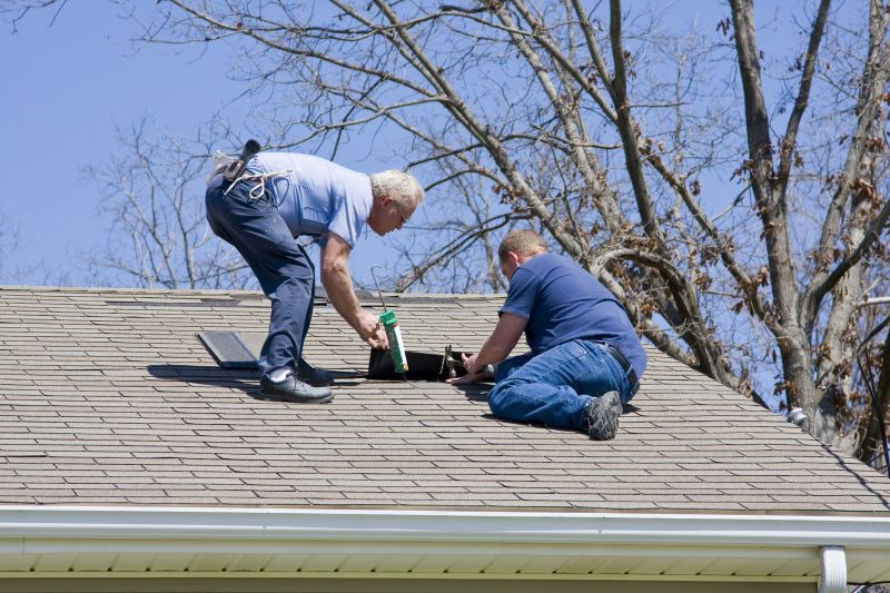 Roof Damage Repair in Conifer, CO