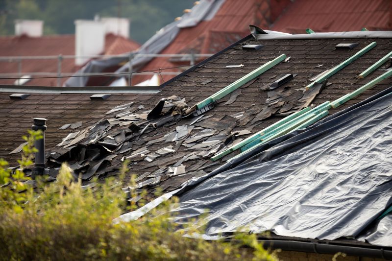 Roof Damage Repair in Douglas County, CO