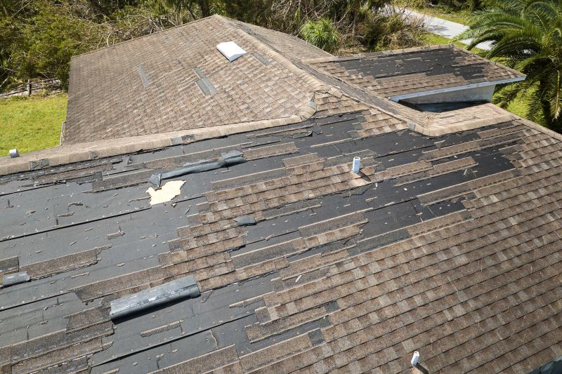 Roof Damage Repair in Parker, CO