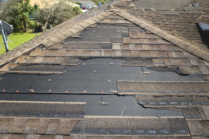 Roof Hail Damage Repair in Denver, CO