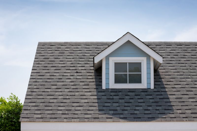 Roof Patching Service in Denver, CO