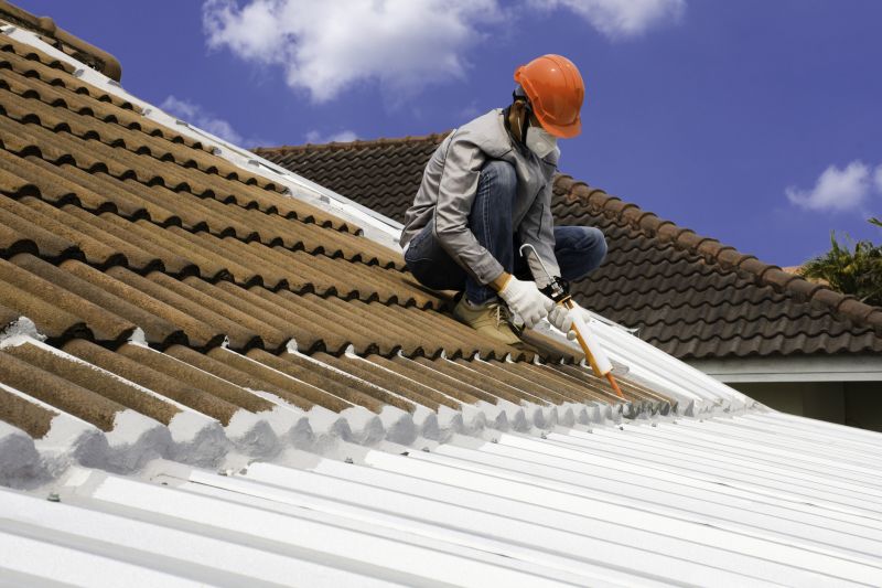 Roof Sealant Service in Denver, CO
