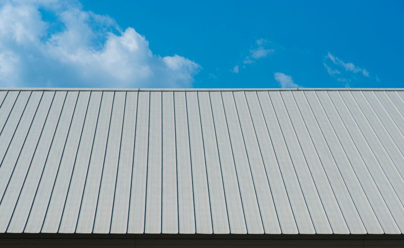 Tin Roof Repair in Douglas County, CO