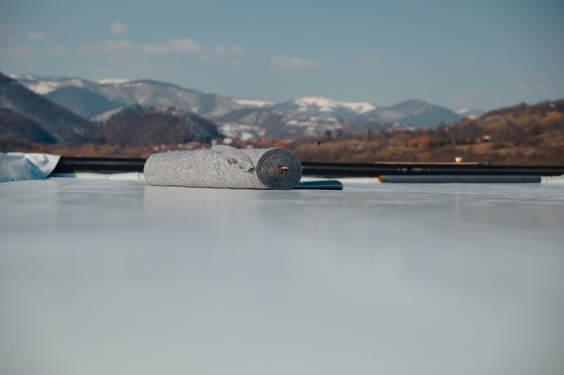 Tpo Roof Replacement in Denver, CO