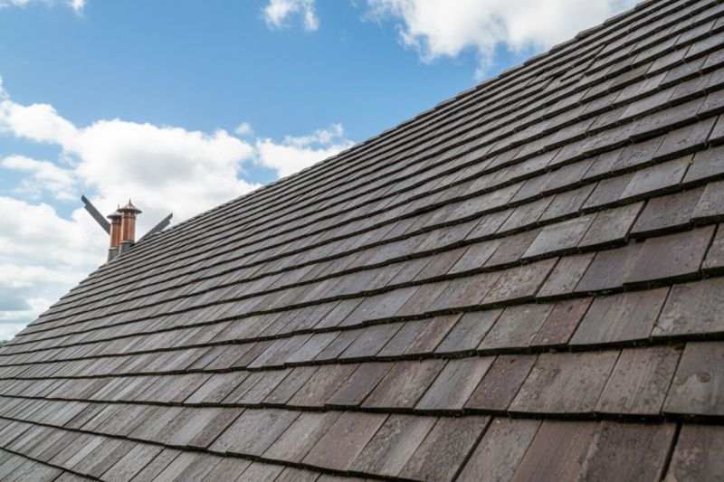 Wood Shake Roof Replacement in Castle Rock, CO